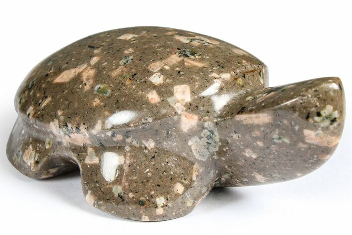 Polished Chinese Writing Rock Turtle - Arizona #366540